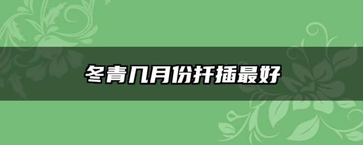 冬青几月份扦插最好