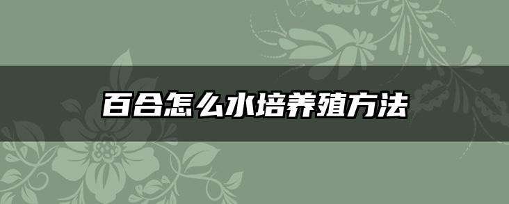 百合怎么水培养殖方法