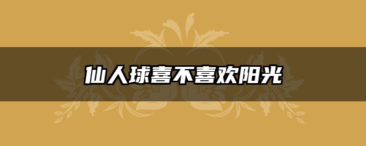 仙人球喜不喜欢阳光