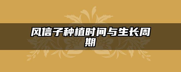 风信子种植时间与生长周期