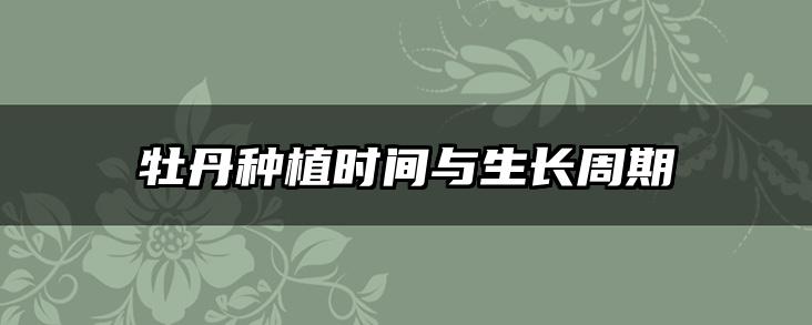 牡丹种植时间与生长周期