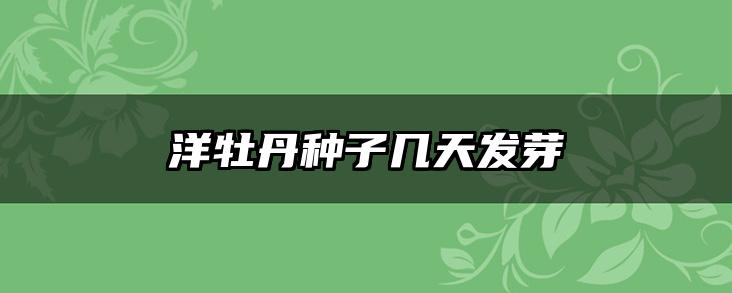 洋牡丹种子几天发芽