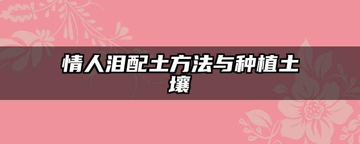 情人泪配土方法与种植土壤
