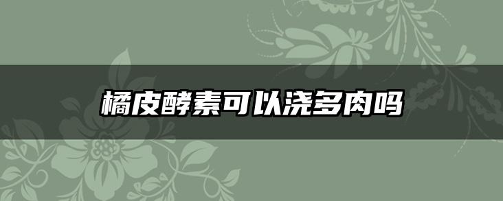橘皮酵素可以浇多肉吗