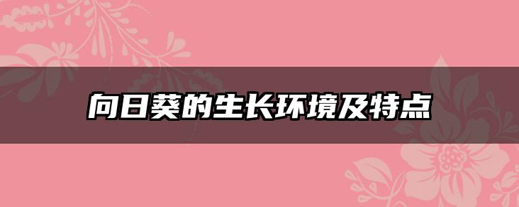 向日葵的生长环境及特点