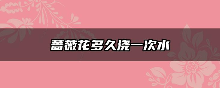 蔷薇花多久浇一次水