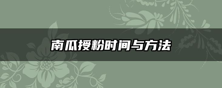 南瓜授粉时间与方法