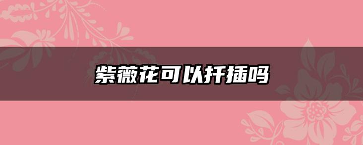 紫薇花可以扦插吗