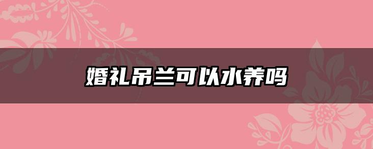 婚礼吊兰可以水养吗
