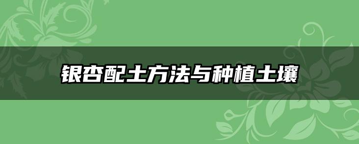 银杏配土方法与种植土壤