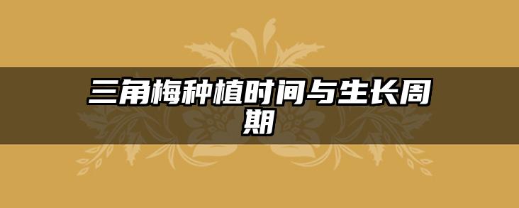 三角梅种植时间与生长周期