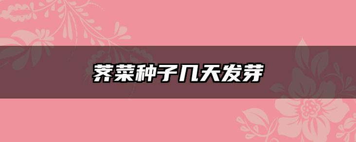 荠菜种子几天发芽
