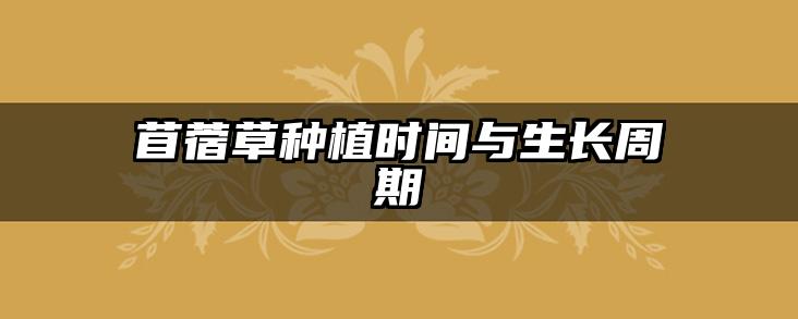 苜蓿草种植时间与生长周期