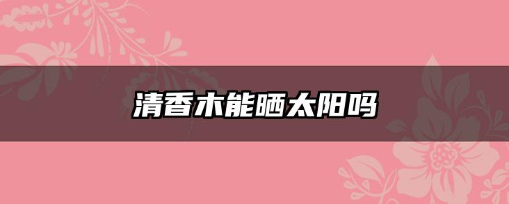 清香木能晒太阳吗