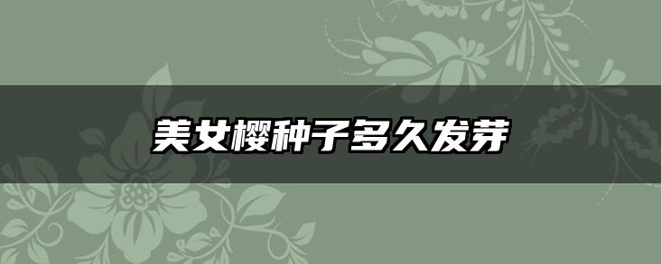 美女樱种子多久发芽