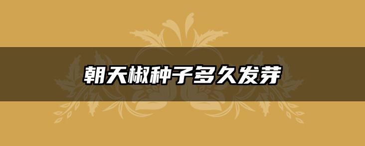 朝天椒种子多久发芽