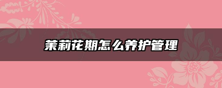 茉莉花期怎么养护管理