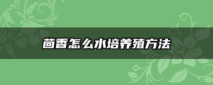 茴香怎么水培养殖方法
