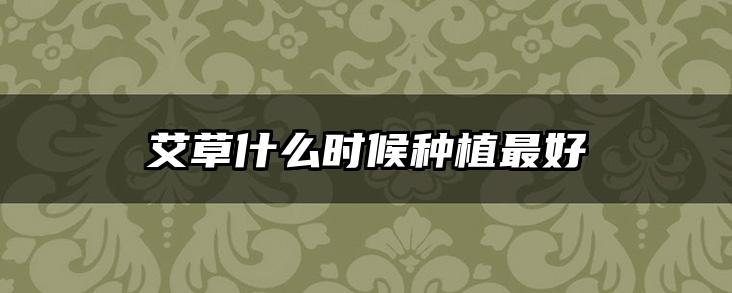 艾草什么时候种植最好