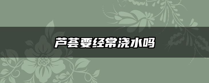 芦荟要经常浇水吗