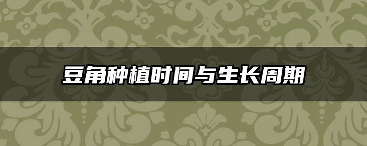 豆角种植时间与生长周期