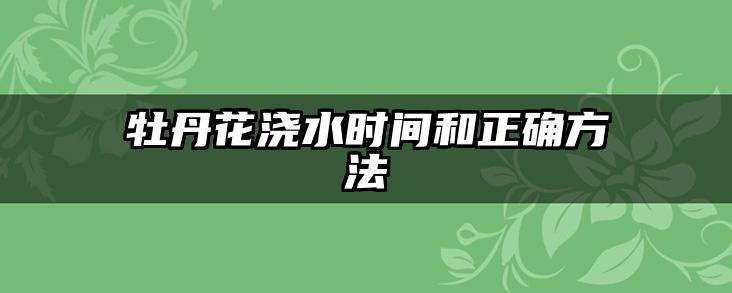 牡丹花浇水时间和正确方法