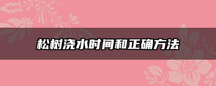 松树浇水时间和正确方法