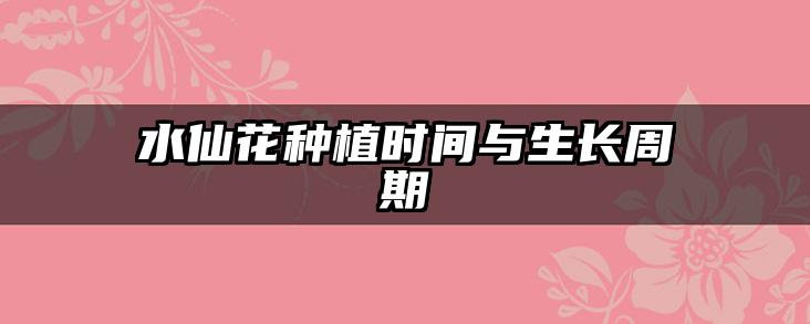 水仙花种植时间与生长周期