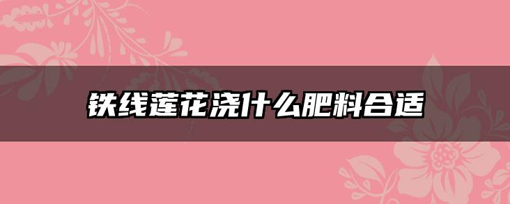 铁线莲花浇什么肥料合适