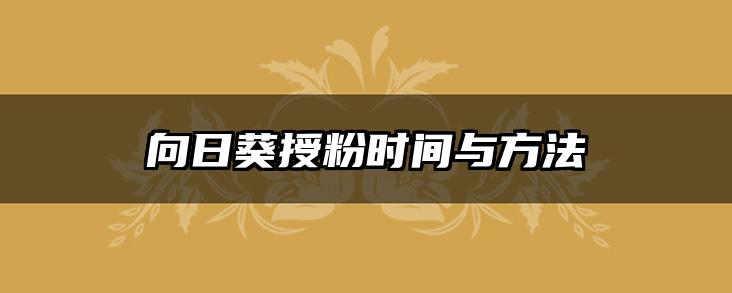 向日葵授粉时间与方法