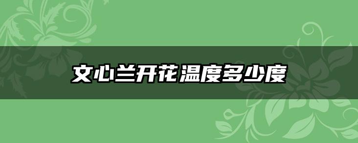文心兰开花温度多少度