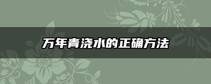 万年青浇水的正确方法