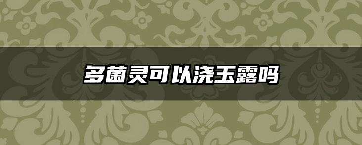 多菌灵可以浇玉露吗