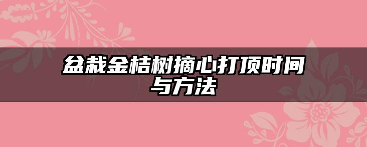 盆栽金桔树摘心打顶时间与方法