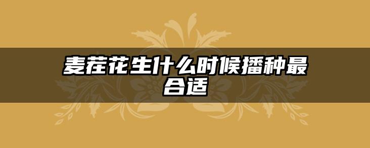 麦茬花生什么时候播种最合适
