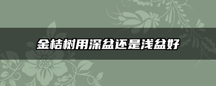 金桔树用深盆还是浅盆好