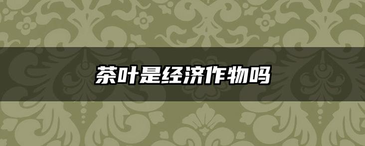 茶叶是经济作物吗