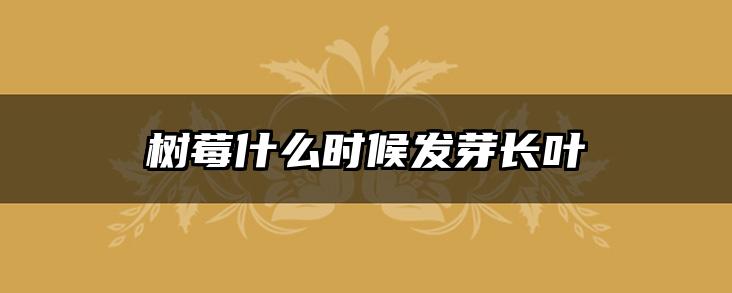 树莓什么时候发芽长叶