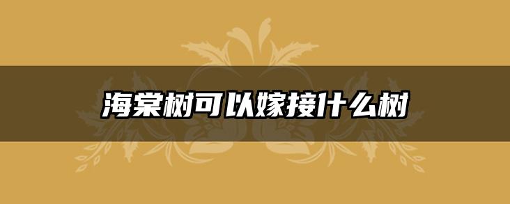 海棠树可以嫁接什么树