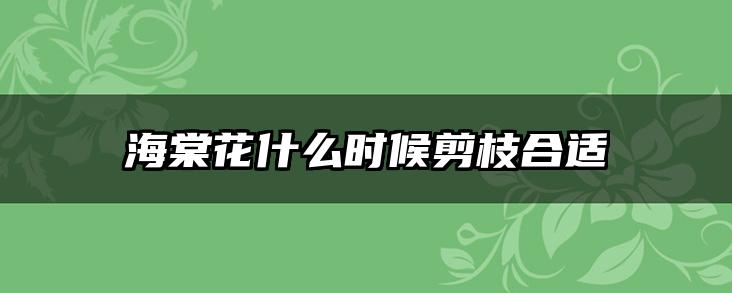海棠花什么时候剪枝合适