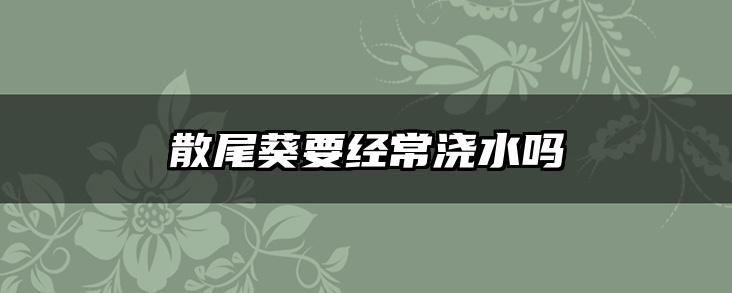 散尾葵要经常浇水吗