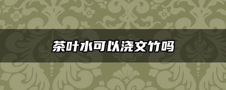 茶叶水可以浇文竹吗