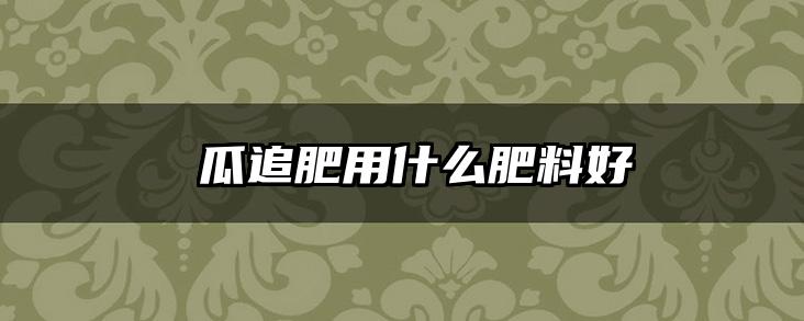 黃瓜追肥用什么肥料好