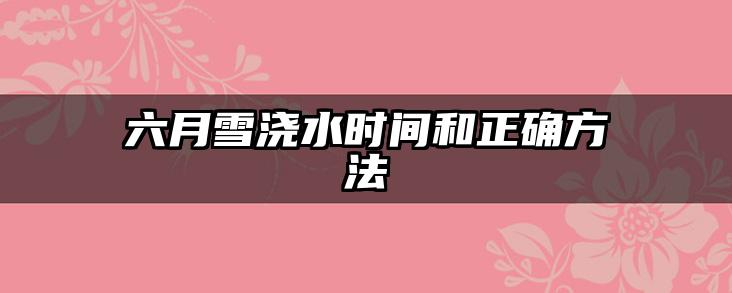 六月雪浇水时间和正确方法