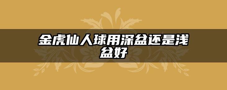 金虎仙人球用深盆还是浅盆好