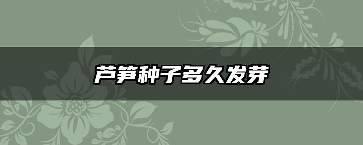 芦笋种子多久发芽