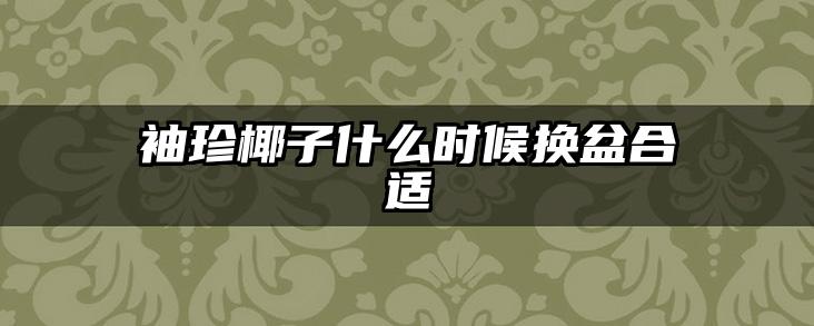 袖珍椰子什么时候换盆合适