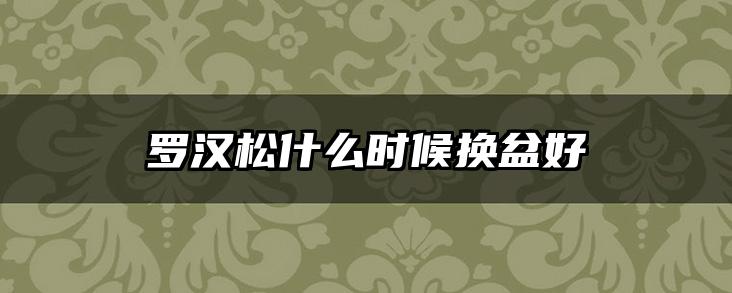 罗汉松什么时候换盆好