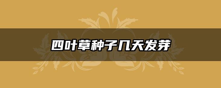 四叶草种子几天发芽
