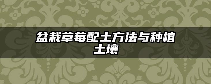 盆栽草莓配土方法与种植土壤